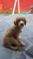 /album/a0-6-mesiacov/a20120421-img-0653-563x1000-jpg/